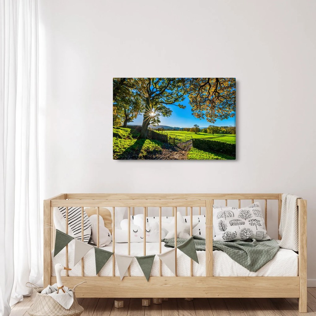 Tablou Privire la câmp (90x60 cm)
