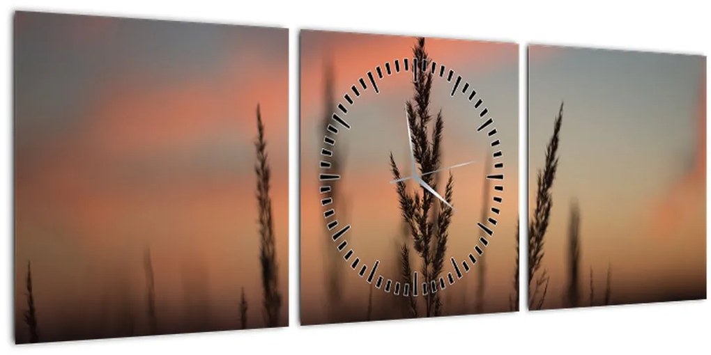 Tablou - Silueta plantei (cu ceas) (90x30 cm)