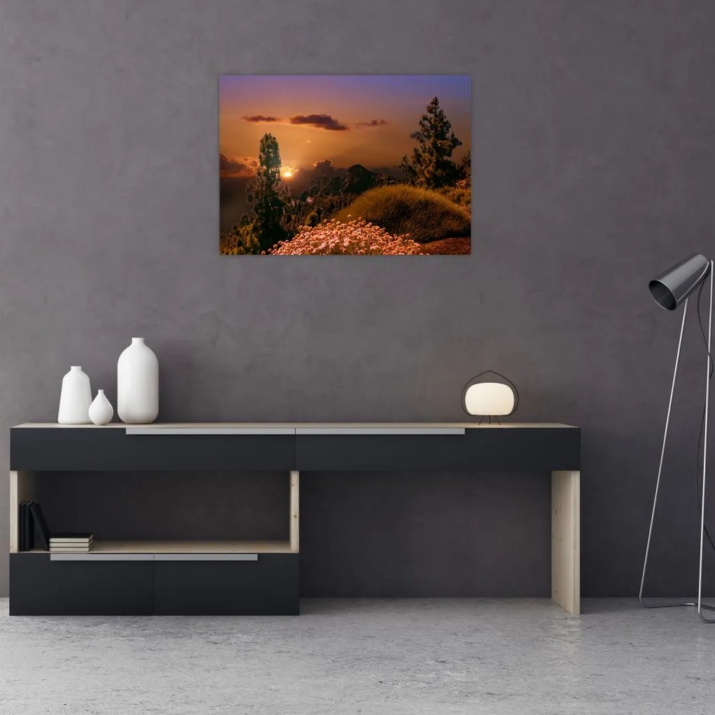 Tablou naturii cu apus de soare (70x50 cm)