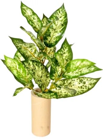 Dieffenbachia artificială verde, 45 cm