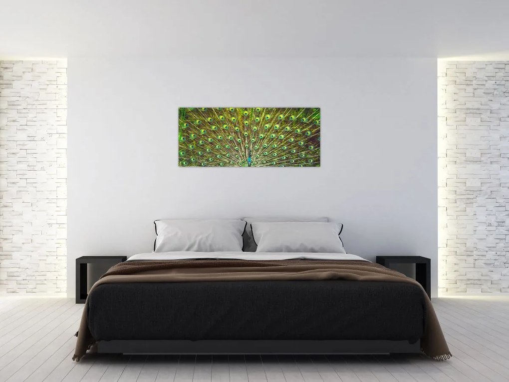 Tablou - Peacock (120x50 cm)