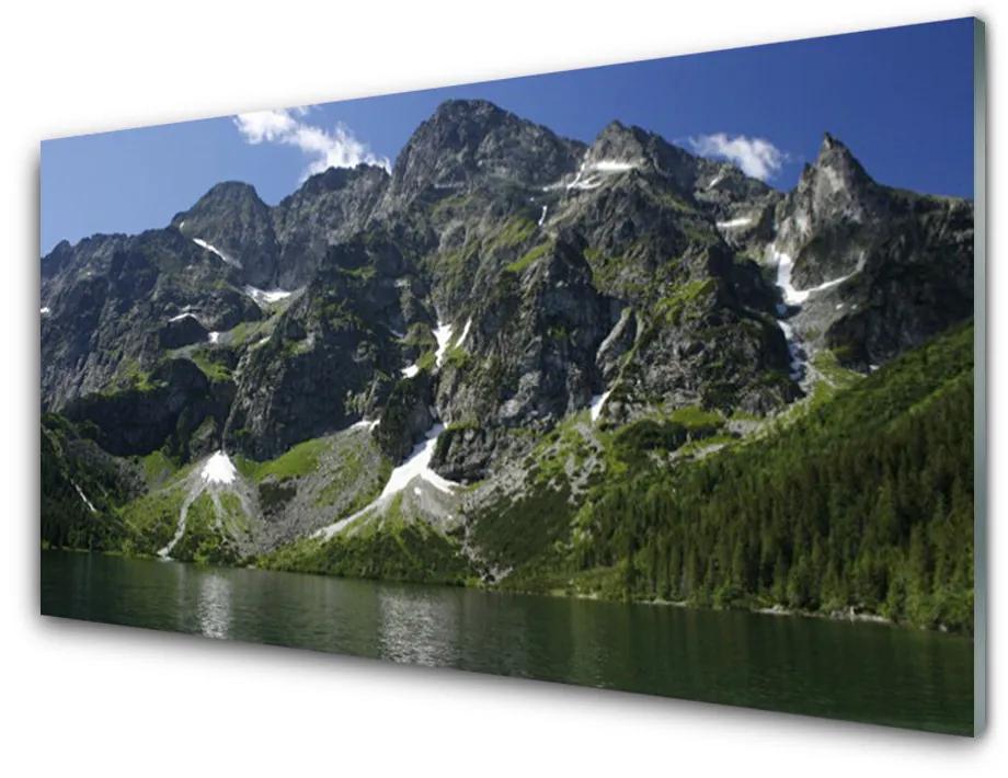 Tablouri acrilice Munții Lake Forest Peisaj Verde Gri