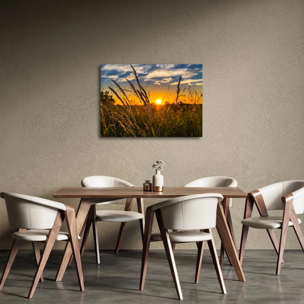 Tablou cu câmp în apus de soare (70x50 cm)