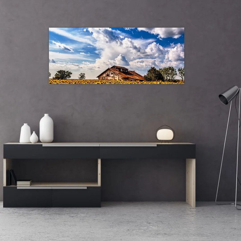 Tablou cu câmp de floarea soarelui (120x50 cm)