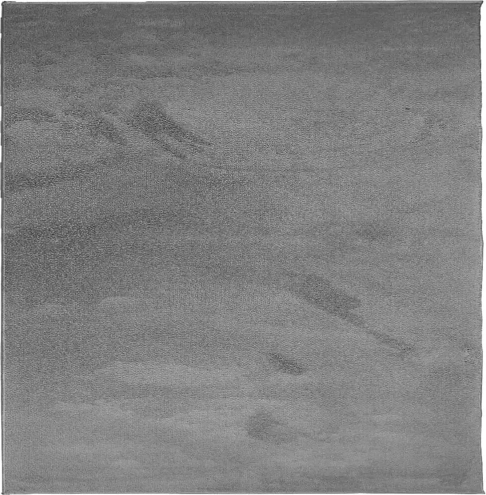 vidaXL Covor „OVIEDO”, fire scurte, antracit, 200x200 cm