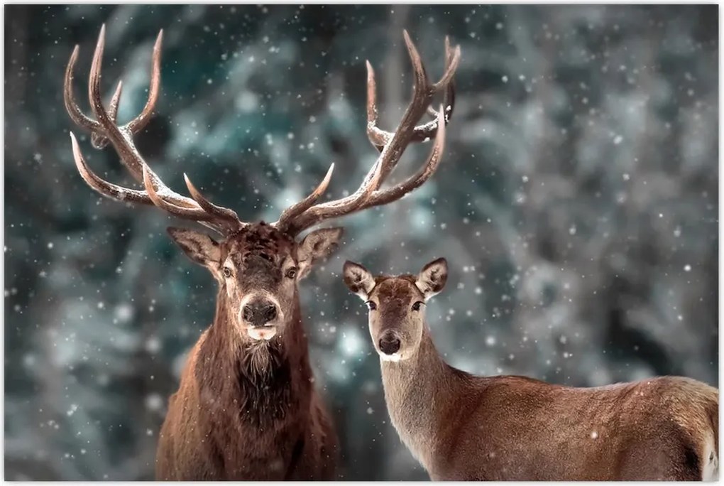 Tablou - Cerb și căprioare în pădurea înzăpezită (90x60 cm)