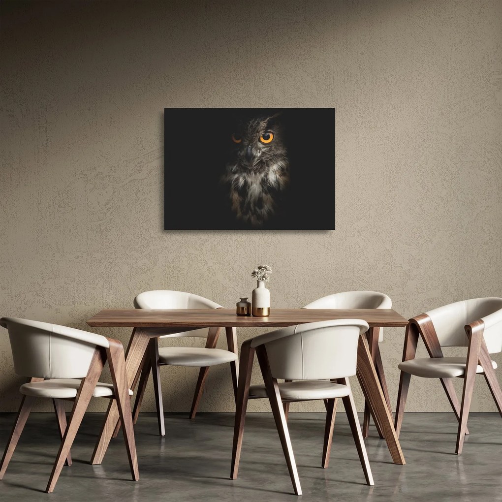 Tablou pe sticlă cu bufnița (70x50 cm)
