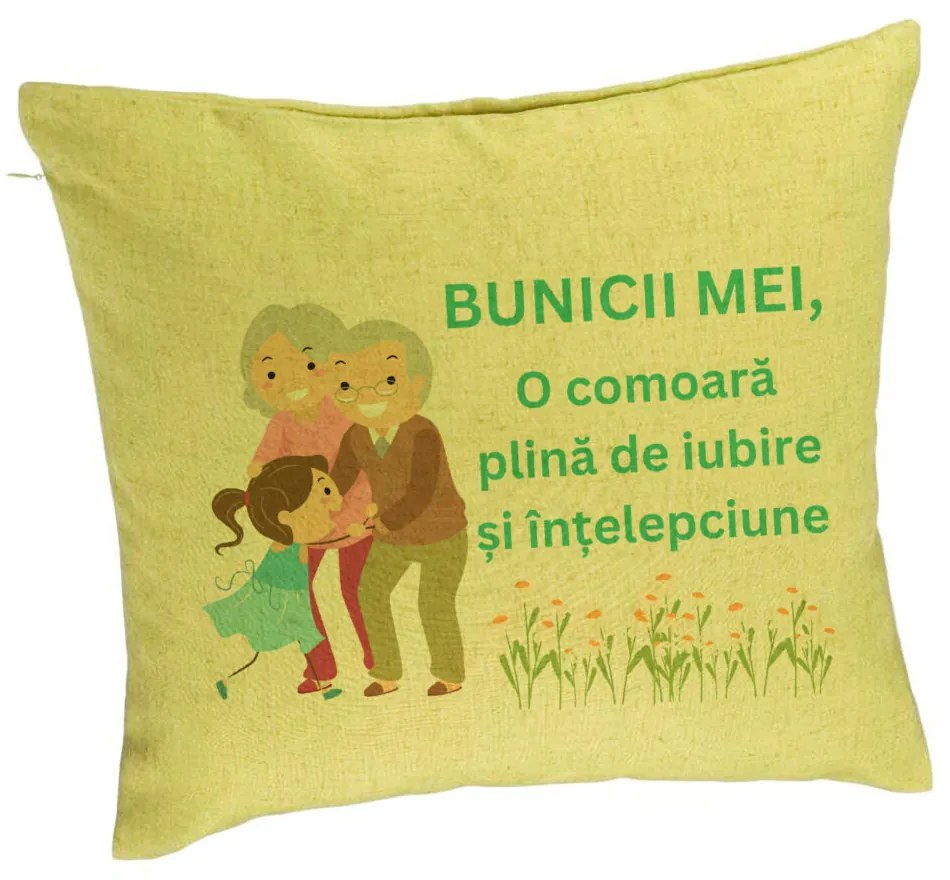 Perna Decorativa pentru Bunici 3, 40x40 cm, Verde, Husa Detasabila, Burduf