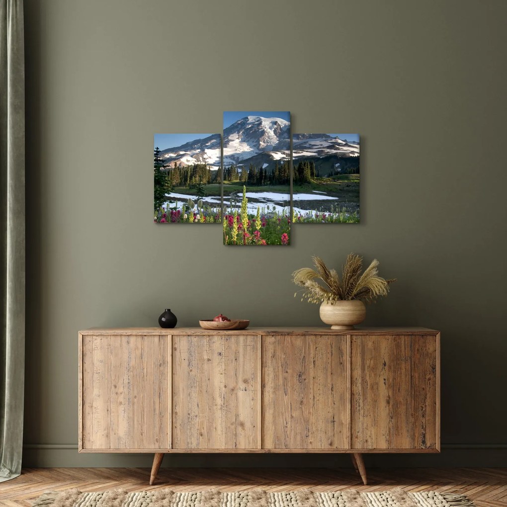 Tablou - Muntele Rainier (90x60 cm)