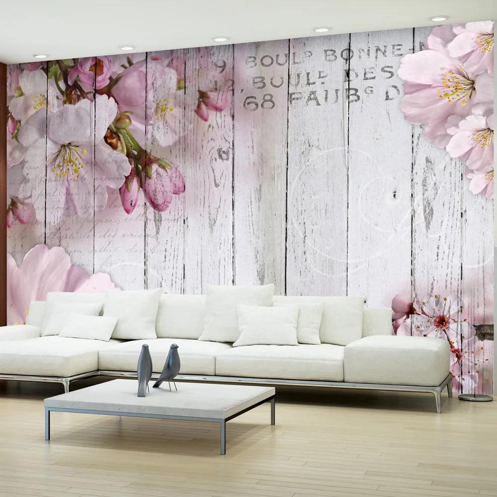 Fototapet Bimago - Apple Blossoms + Adeziv gratuit 400x280 cm
