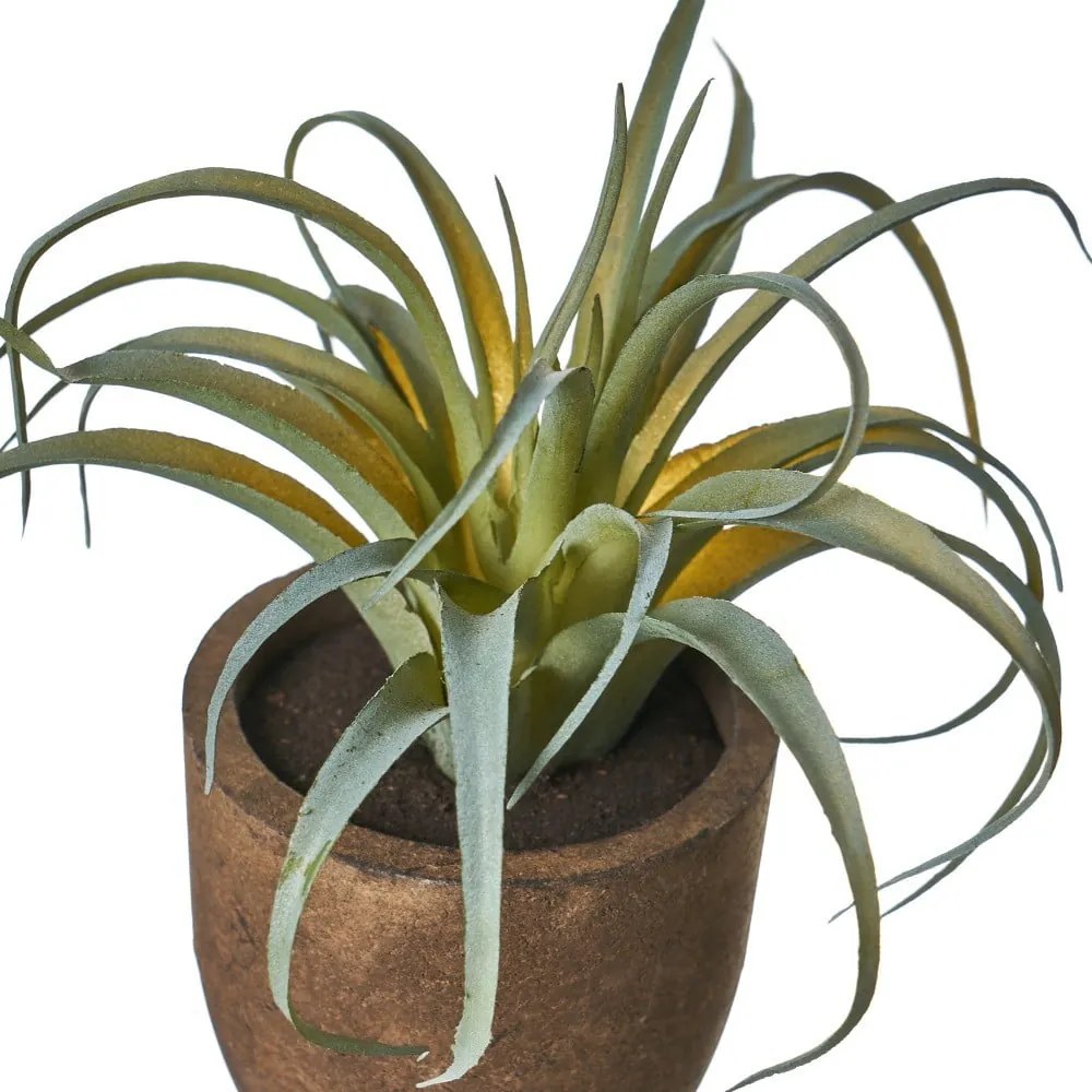 Plante artificiale 4 buc. Cactus – Casa Selección