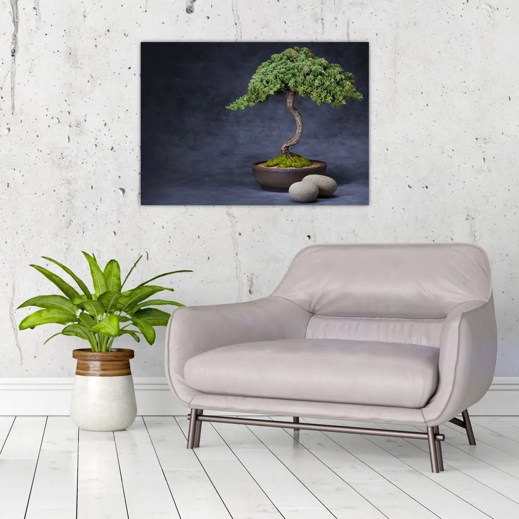 Tablou - Bonsai (70x50 cm)