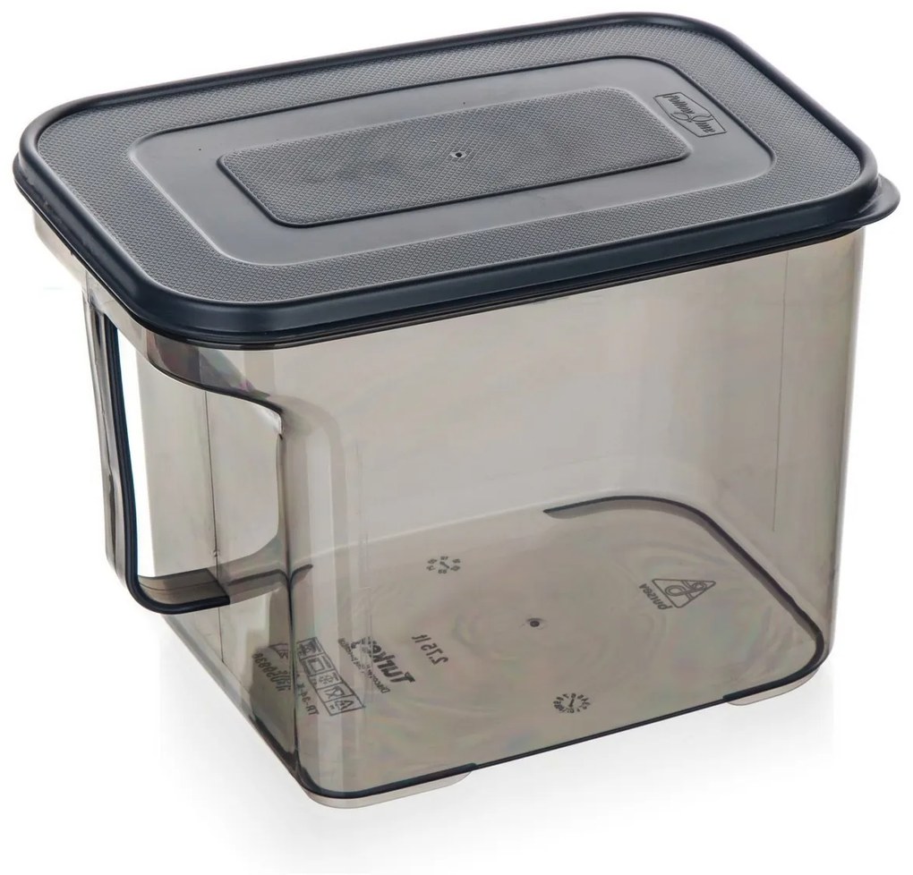 Banquet Cutie de depozitare cu mâner ZOYA 2,75 l,fumurie, 2,75 l