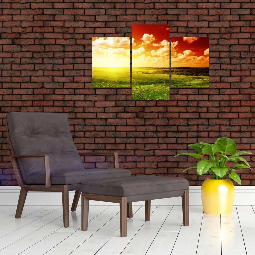 Tablou cu luncă cu soarele strălucitor (90x60 cm)
