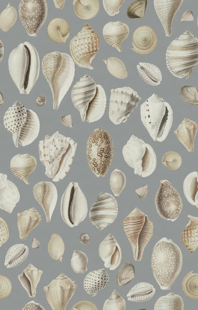 Tapet Ocean Shells, Blue, Rebel Walls