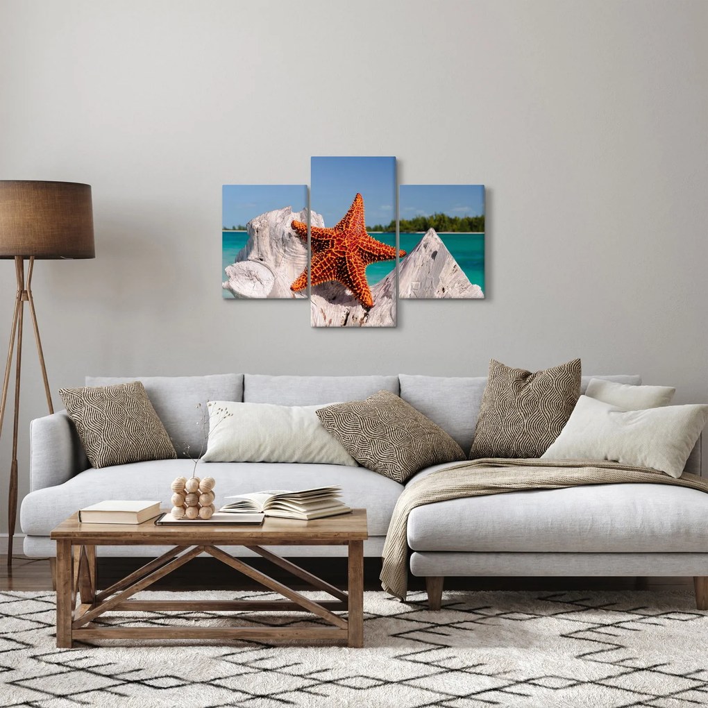 Tablou cu stea de mare (90x60 cm)