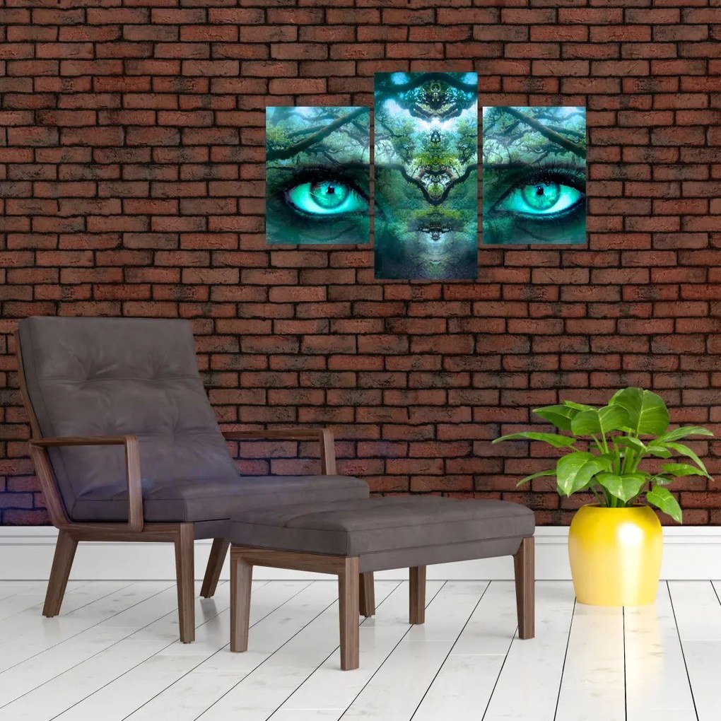 Tablou - Privire (90x60 cm)