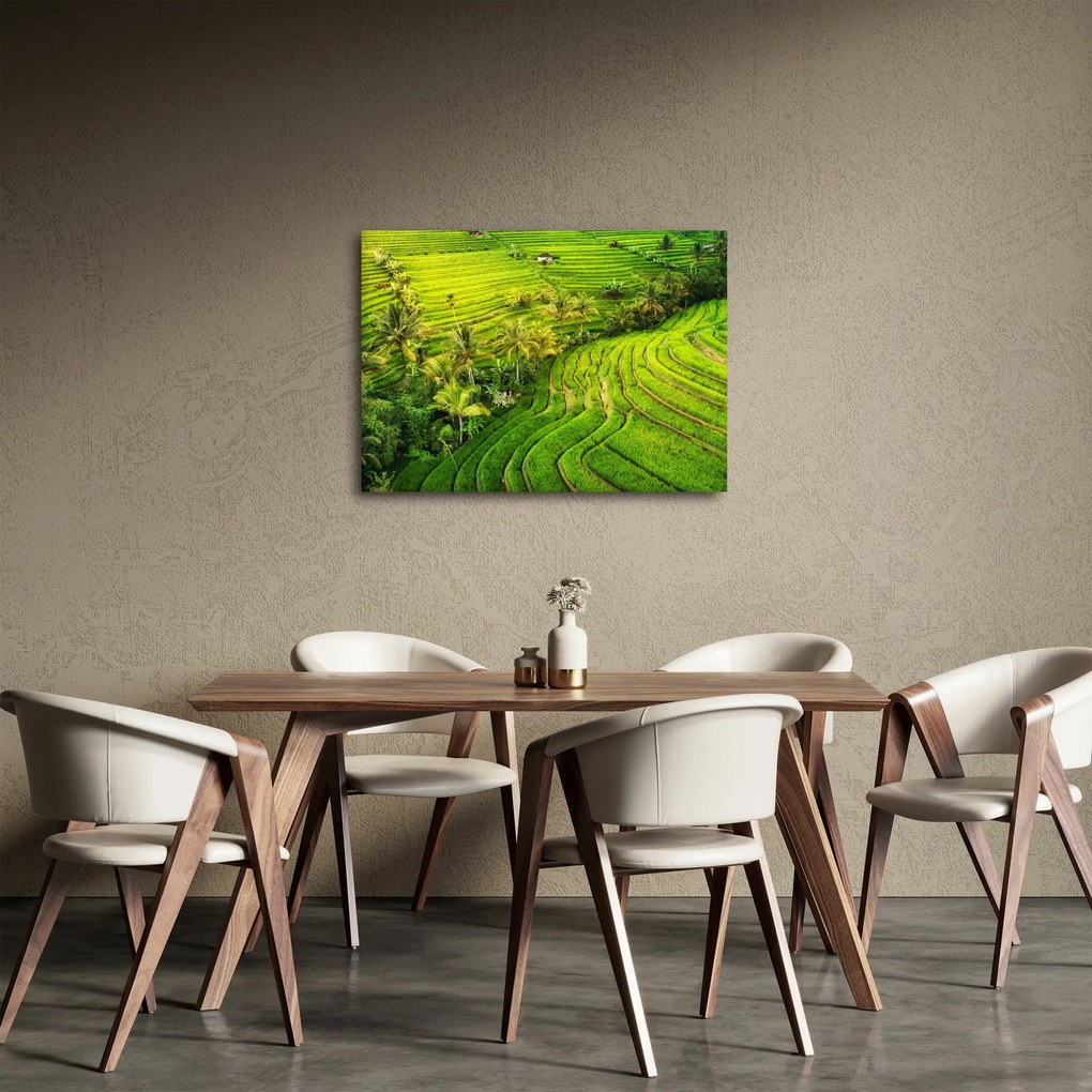 Tablou - Terase de orez (70x50 cm)