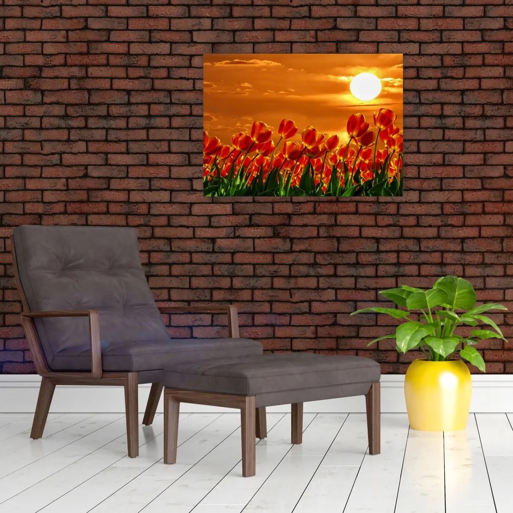 Tablou - lan înflorit de lalele (70x50 cm)