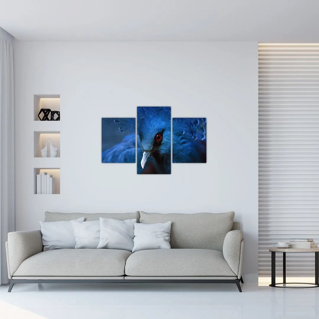 Tablou - Porumbel încoronat (90x60 cm)