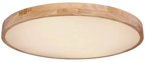 Globo 41745-60 - Plafonieră LED RAINER dimabilă LED/60W/230V cu DO