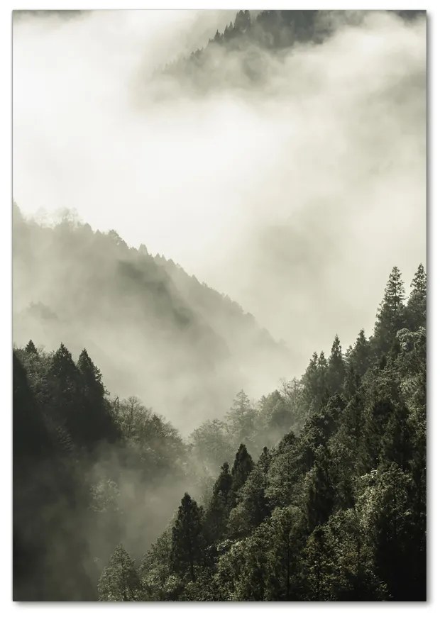 Tablou sticlă Ceață peste pădure