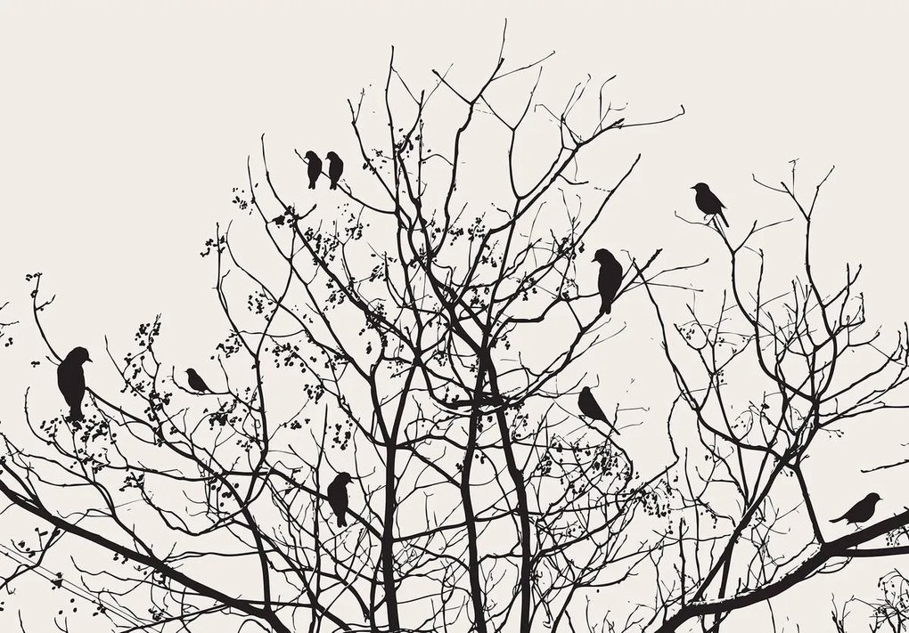Fototapet - Copac (152,5x104 cm)