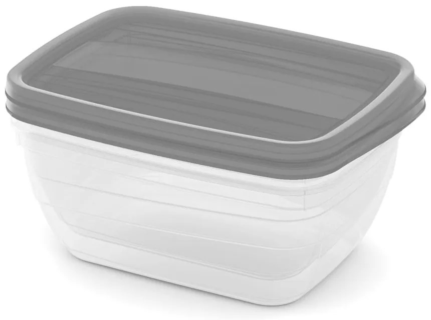 Caserole 2 buc. pentru mâncare Vedo – Curver