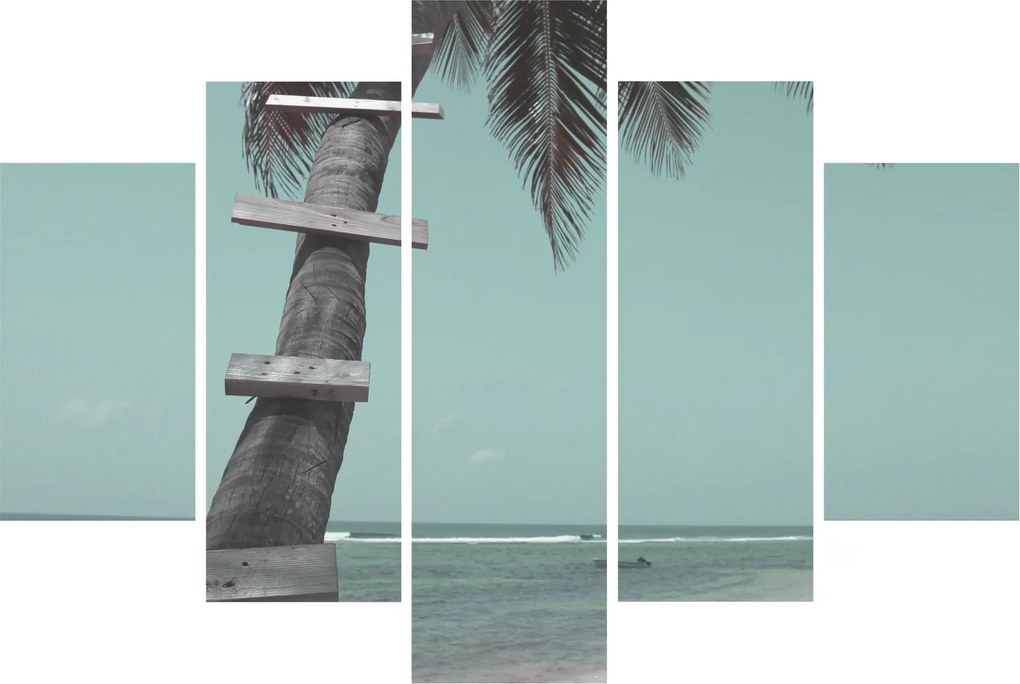 Tablou - Palma în Caraibe (150x105 cm)