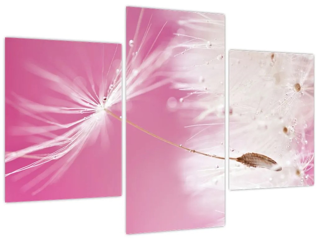 Tablou - Floare macro (90x60 cm)