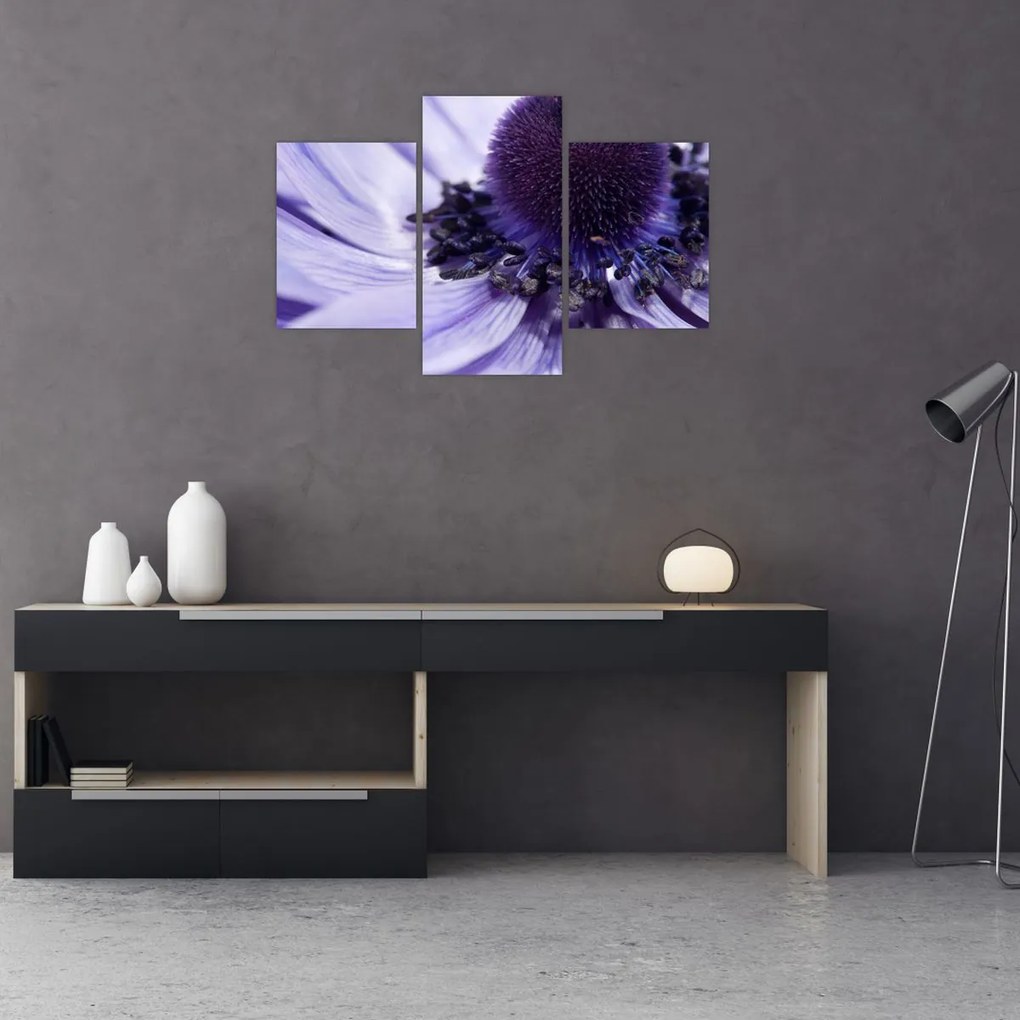 Tablou - Floare mov (90x60 cm)