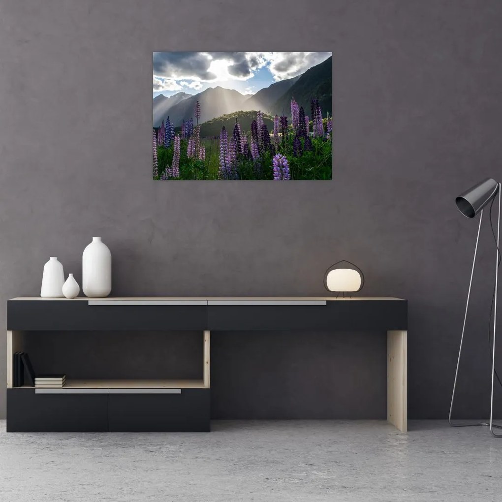 Tablou - scenariu cu flori de Lupin (70x50 cm)
