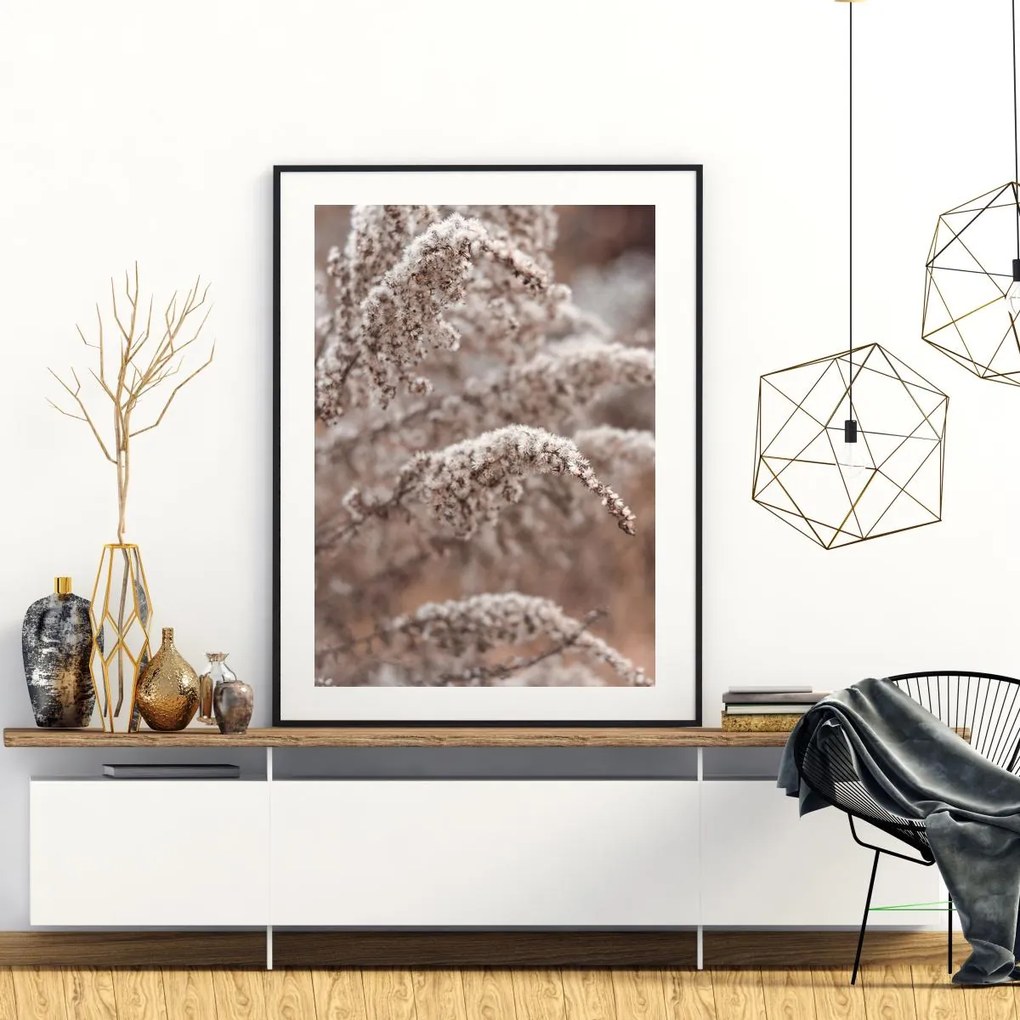 Poster - Florile plantei (A4)