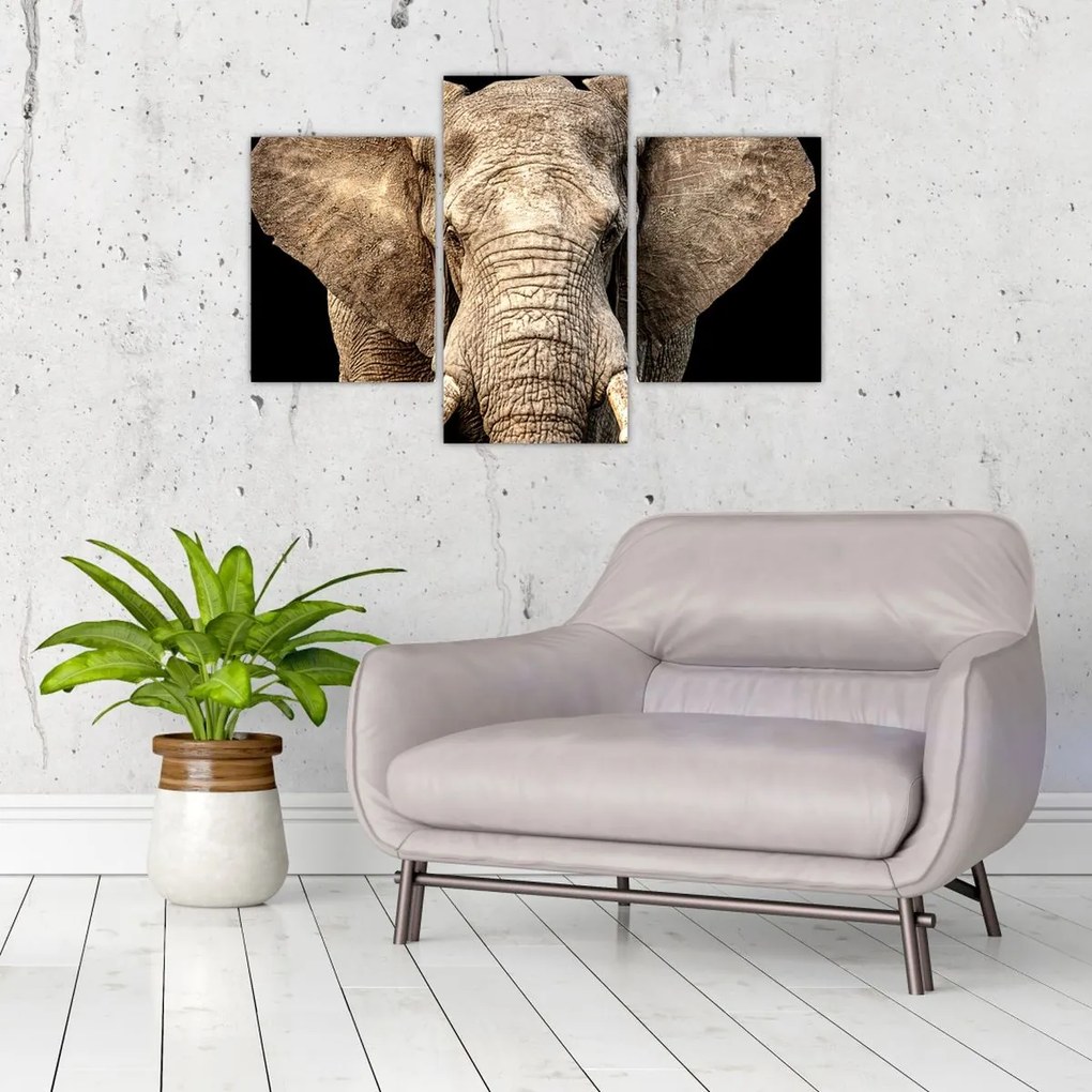 Tablou - Elefant african (90x60 cm)