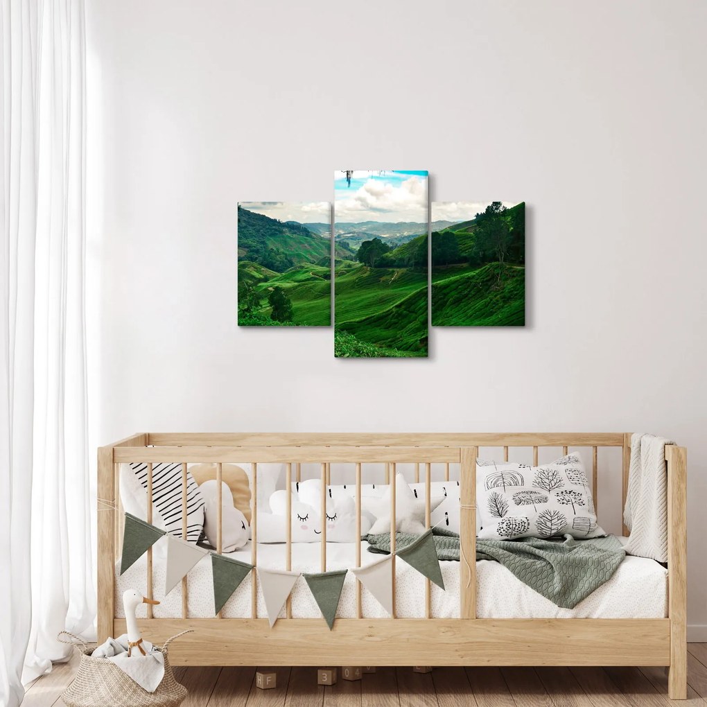 Tablou Plantații de ceai - Malaezia (90x60 cm)