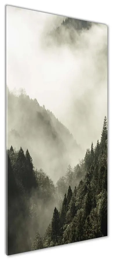 Tablou sticlă Ceață peste pădure