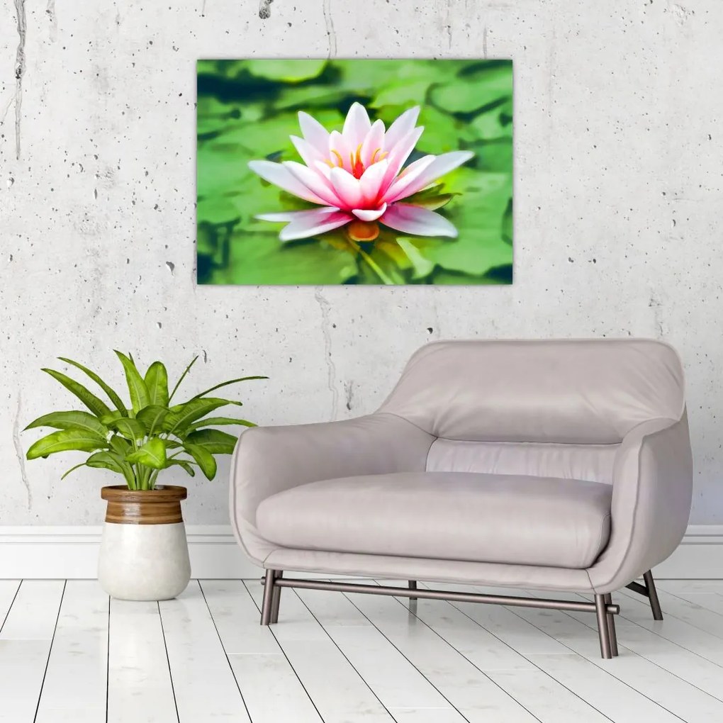 Tablou - Nuferi pe apă (70x50 cm)