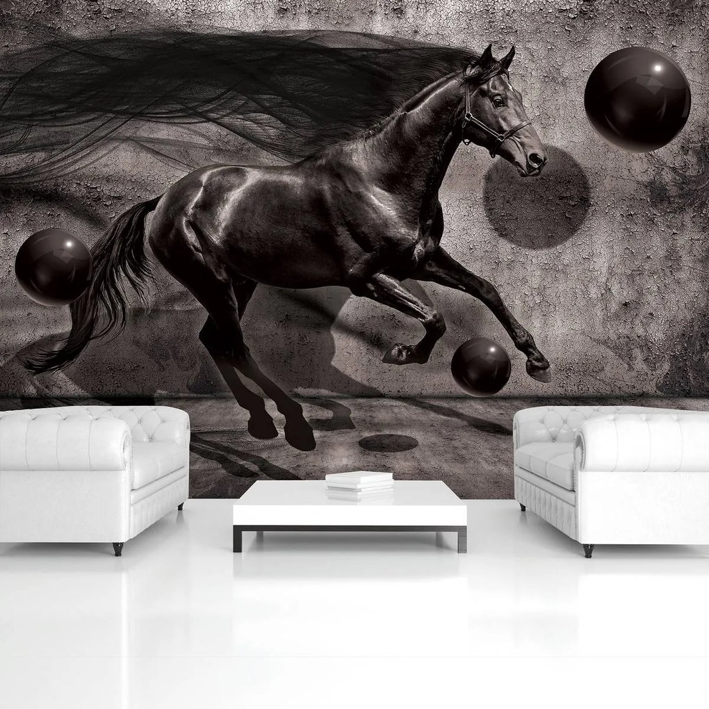 Fototapet - Calul negru (152,5x104 cm)