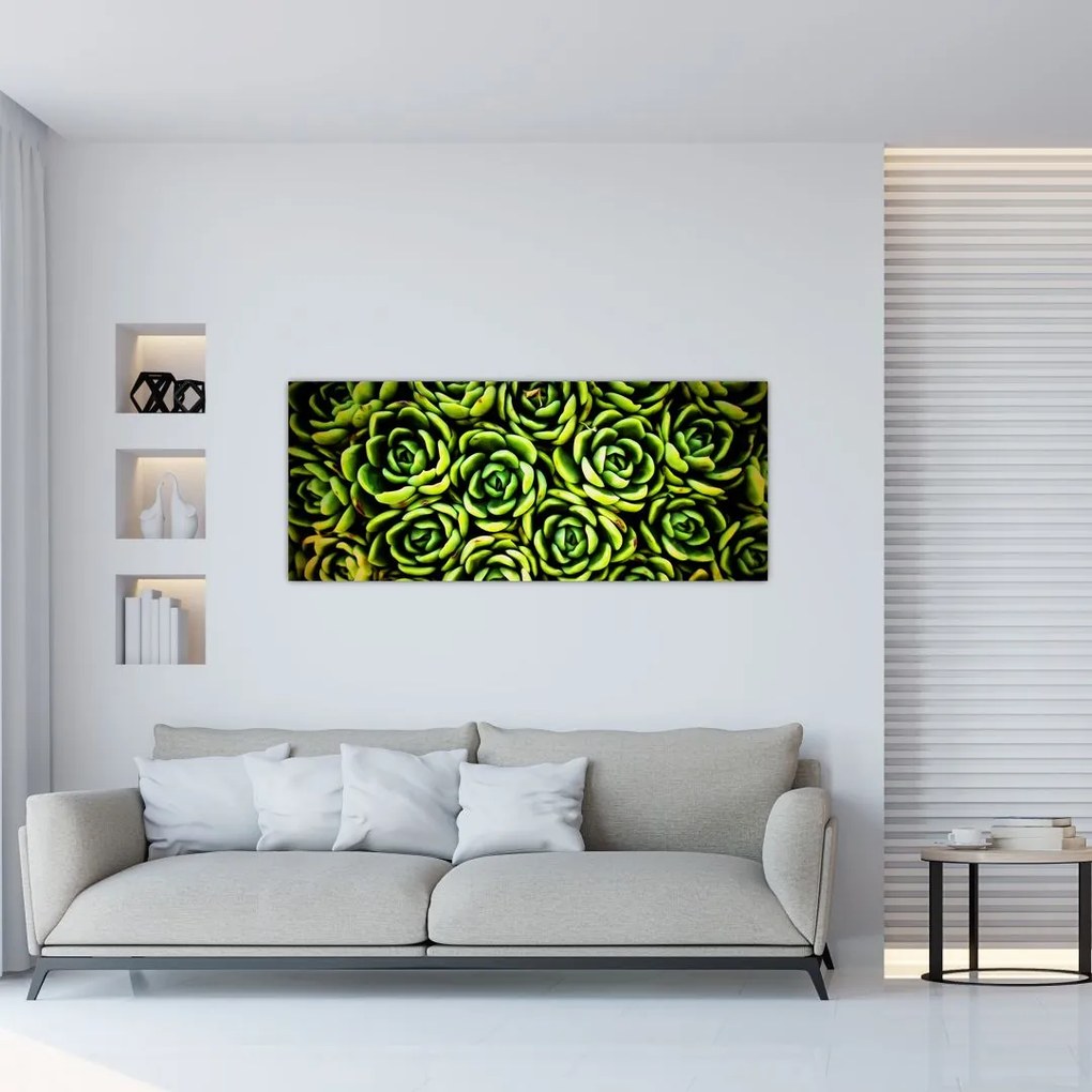 Tablou cu flori de piatră (120x50 cm)