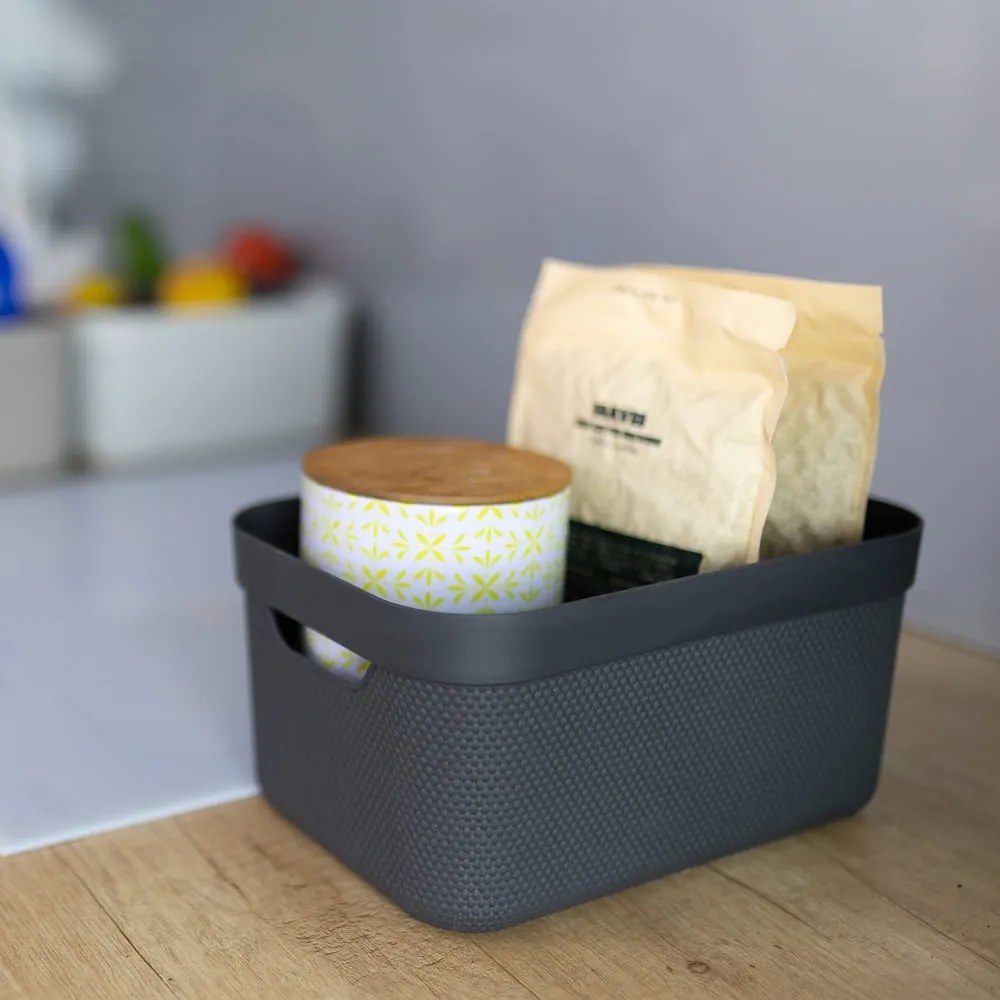 Cutie de depozitare din plastic cu capac Deco - Rotho