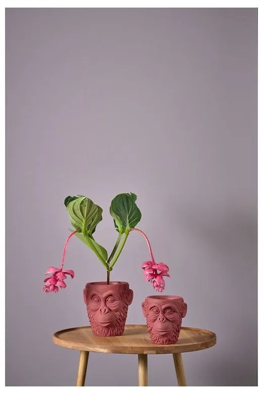 Ghiveci Villa Collection Calbe, înălțime 22,5 cm, roșu