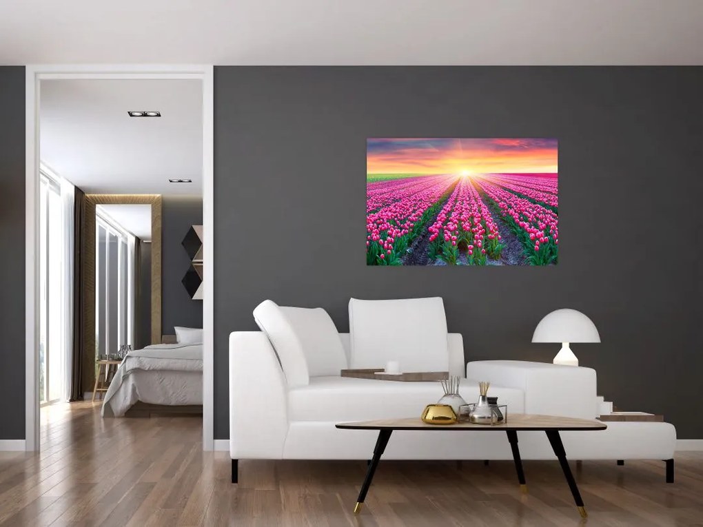 Tablou cu câmp de lalele cu soare (90x60 cm)