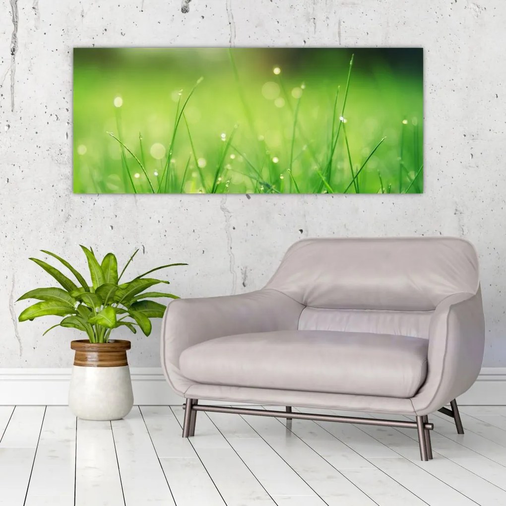 Tablou - roua pe iarbă (120x50 cm)