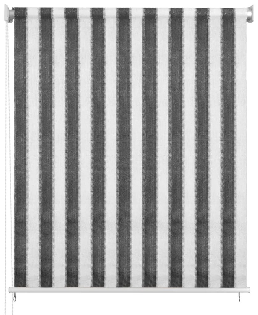 Jaluzea rulou de exterior, 60 x 230 cm, dungi antracit si alb Antracit, 230 x 60 cm