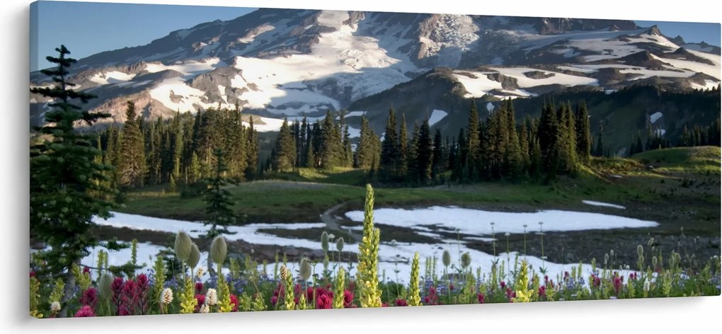 Tablou - Muntele Rainier (120x50 cm)
