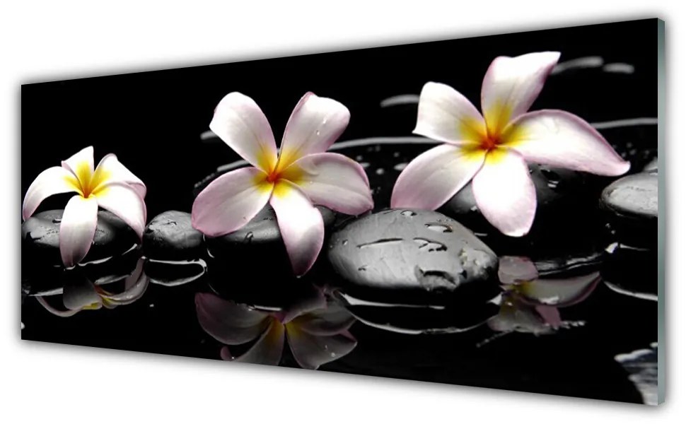 Tablouri acrilice Floare pietre Floral Alb Galben Negru