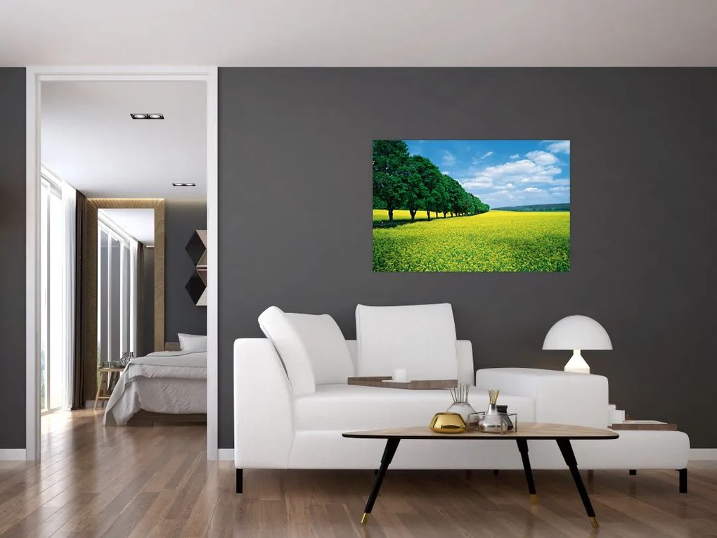 Tablou - Câmp cu alei (90x60 cm)