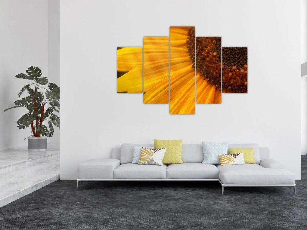 Tablou - Floarea-soarelui (150x105 cm)