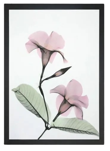 Poster 24x29 cm Green Branch - Tablo Center