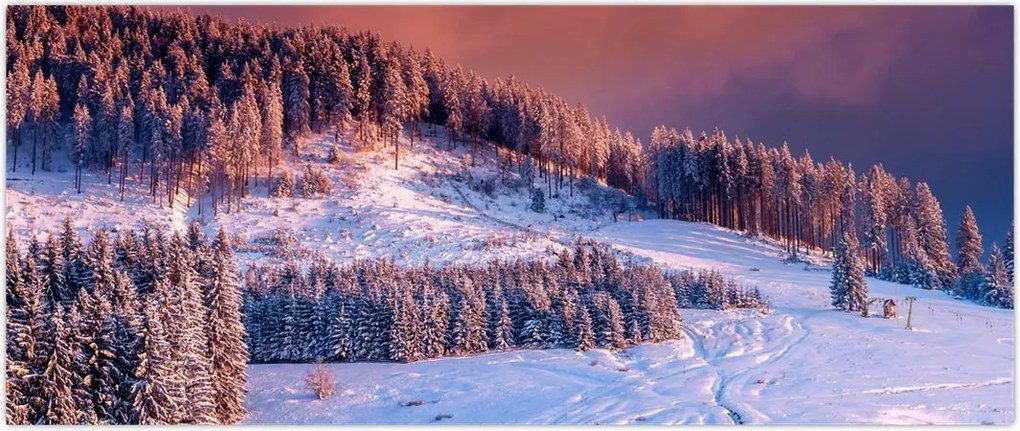 Tablou - Peisaj de iarnă (120x50 cm)